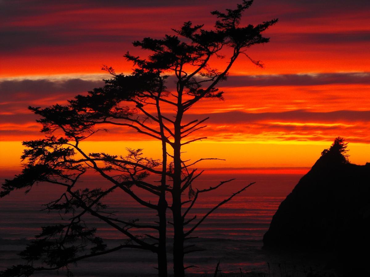 Agate Beach Motel Newport Zewnętrze zdjęcie